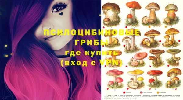 сатива Абинск