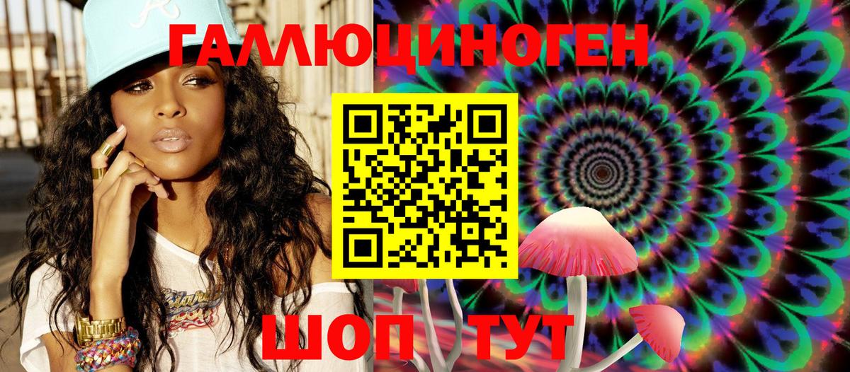 Кингисепп  Псилоцибиновые грибы MAGIC MUSHROOMS  Вход с VPN  Галлюциногенные грибы Psilocybe 