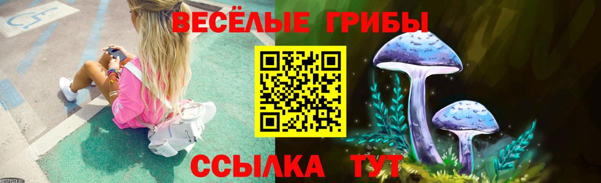Галлюциногенные грибы Cubensis Кингисепп